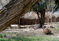Yogi practicing outdoors 4.jpg